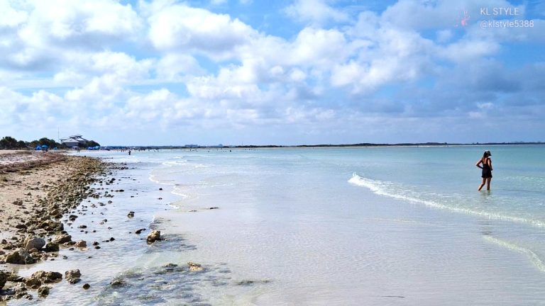 Honeymoon Island: A Romantic Retreat in Nature