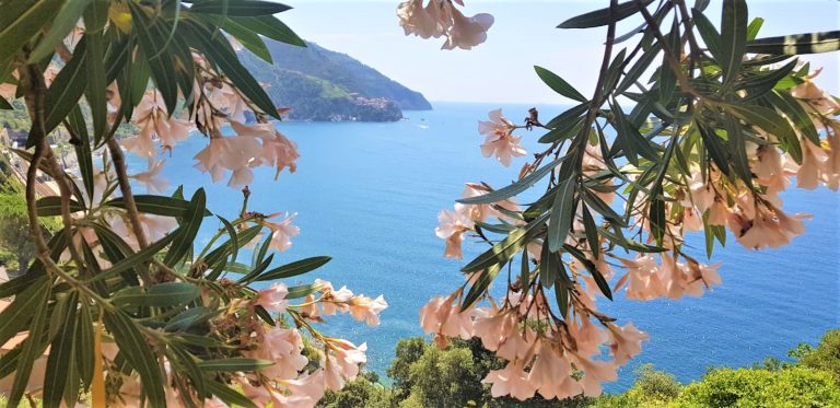 Corniglia: The Elevated Charm