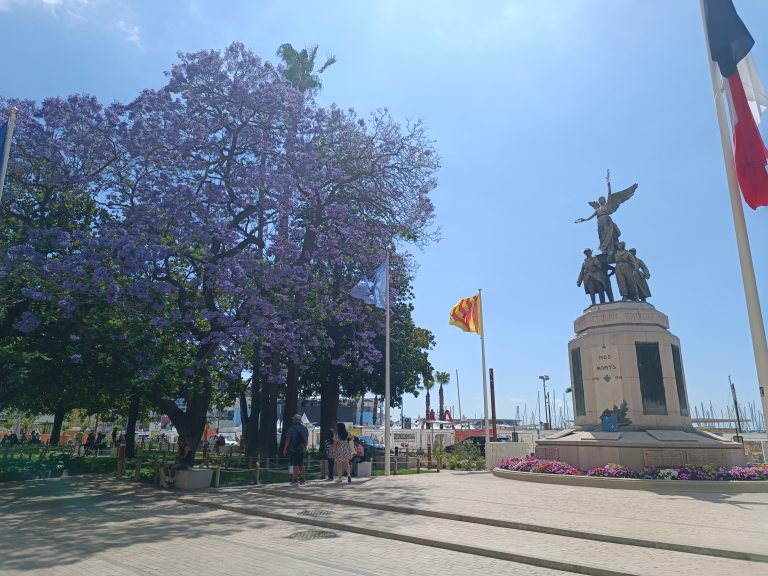 Tips to Avoid Crowds During Your Cruise Stop in Cannes