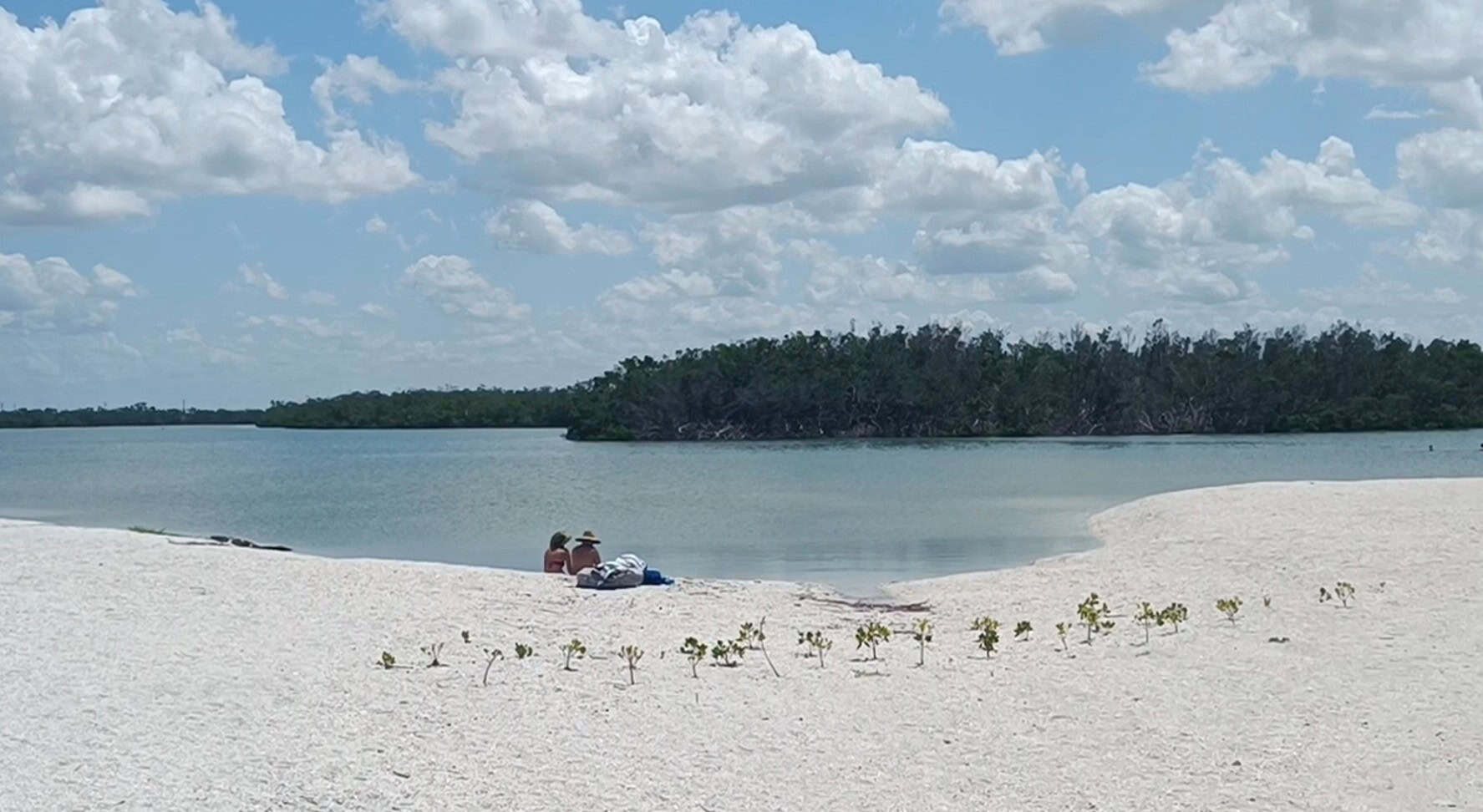 Lovers Key: A Tropical Paradise of Serenity and Coastal Beauty - KL STYLE