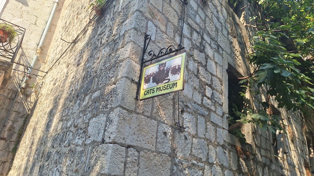 cat-museum kotor