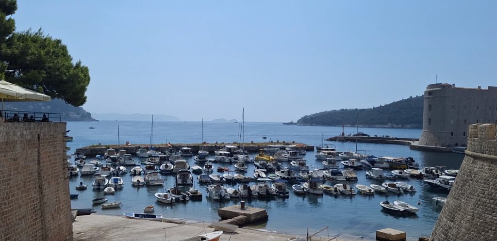 dubrovnik view ships and fort